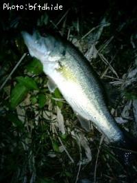 ¥Ö¥é¥Ã¥¯¥Ð¥¹