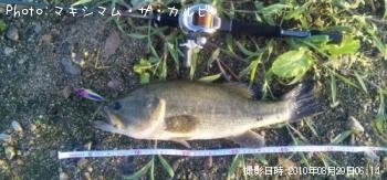 �֥�å��Х�