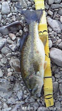 ¥Ö¥é¥Ã¥¯¥Ð¥¹