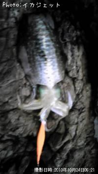 �����ꥤ��