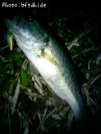 �֥�å��Х�