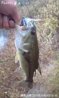 �֥�å��Х��顼��