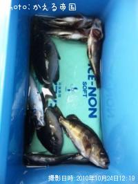 ������Х륰��