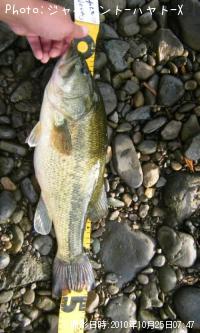 �֥�å��Х�