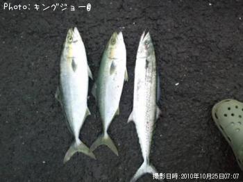 �䥺