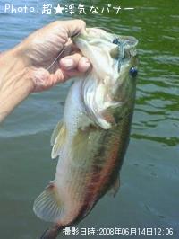 �֥�å��Х�