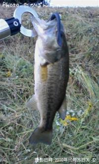 �֥�å��Х�