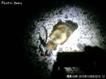 �����ꥤ��