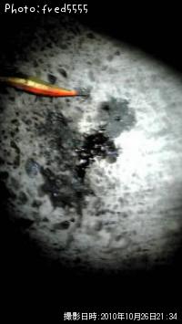 �����ꥤ��