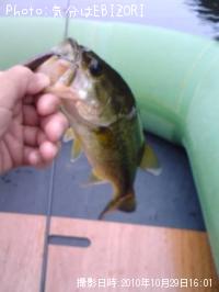 �֥�å��Х�