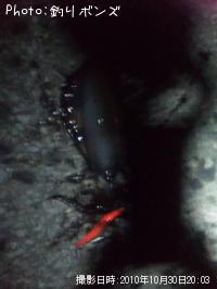 �����ꥤ��