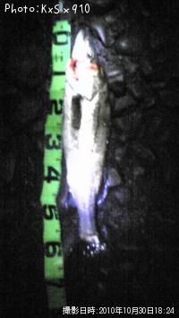 �����Х�