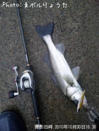 �����Х�