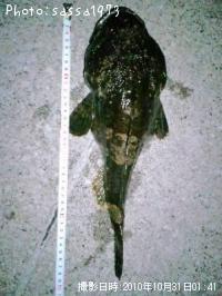 �ȥ��٥ĥ�����