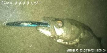 �����Х�