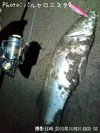 �����Х�