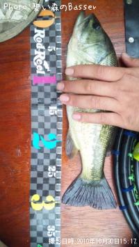 �֥�å��Х�