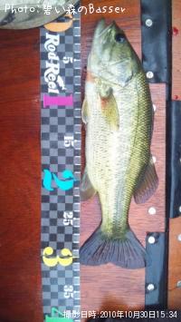 �֥�å��Х�