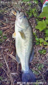 �֥�å��Х�