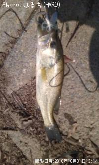 ¥Ö¥é¥Ã¥¯¥Ð¥¹