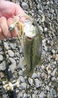 �֥�å��Х�