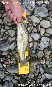 �֥�å��Х�