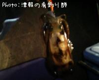 ¥¢¥ª¥ê¥¤¥«