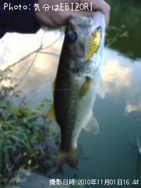 �֥�å��Х�