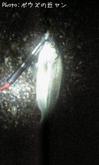 �ҥ饹����