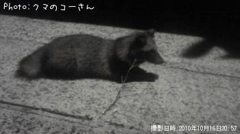 �����ꥤ��