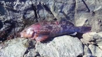 �����ʥ�