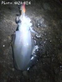 ¥¢¥ª¥ê¥¤¥«