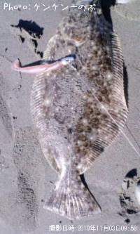 �ҥ��ʥ�����