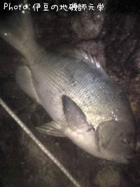 �����᥸��