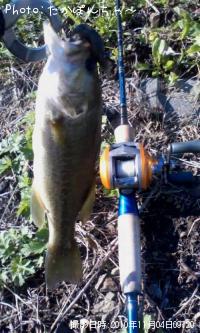 �֥�å��Х�