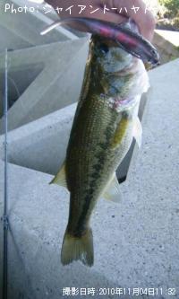 �֥�å��Х�