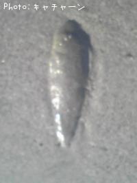 �ҥ��