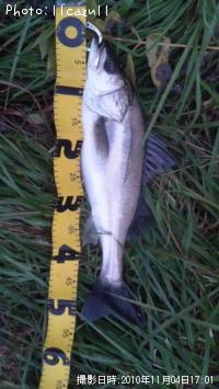 �����Х�