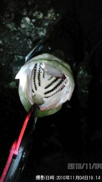 �����Х�