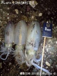 �����ꥤ��