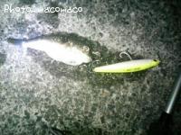 �����ե�