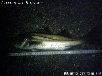 �����Х�