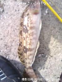 �����ʥ�