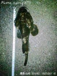 ¥È¥²¥«¥¸¥«