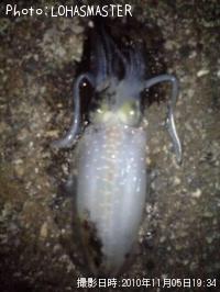 �����ꥤ��