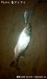 �����Х�