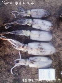 �����ꥤ��