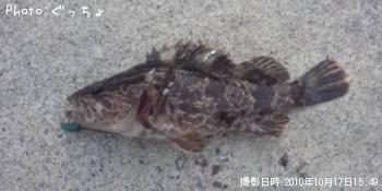 �����Υ���Х�