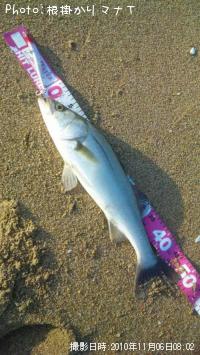 �����Х�