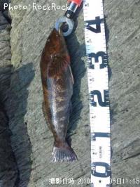 �����ʥ�